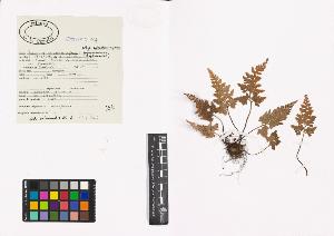 SW_BNB_s3040-00528_IMG-0000000001