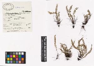 SW_BNB_s3040-00534_IMG-0000000001