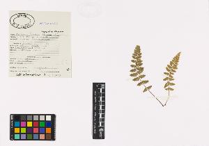 SW_BNB_s3040-00558_IMG-0000000001