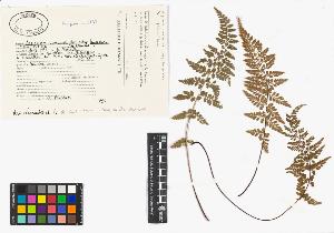 SW_BNB_s3040-00560_IMG-0000000001
