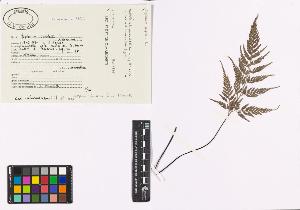 SW_BNB_s3040-00563_IMG-0000000001