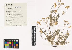 SW_BNB_s3040-00592_IMG-0000000001