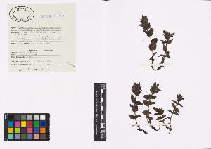 SW_BNB_s3040-00614_IMG-0000000001