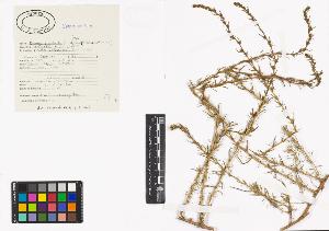 SW_BNB_s3040-00616_IMG-0000000001