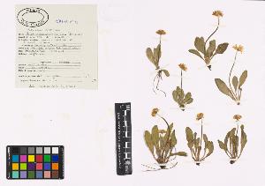 SW_BNB_s3040-00621_IMG-0000000001