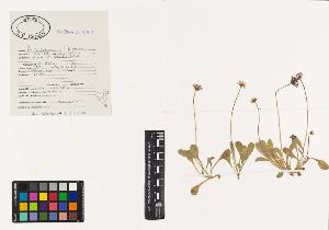SW_BNB_s3040-00624_IMG-0000000001