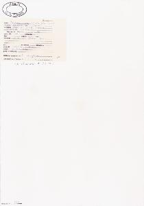 SW_BNB_s3040-00630_IMG-0000000001