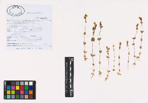 SW_BNB_s3040-00651_IMG-0000000001