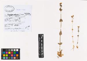 SW_BNB_s3040-00652_IMG-0000000001