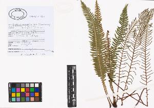SW_BNB_s3040-00654_IMG-0000000001