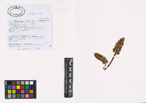 SW_BNB_s3040-00661_IMG-0000000001