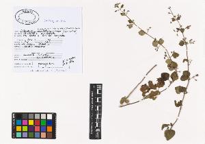 SW_BNB_s3040-00677_IMG-0000000001