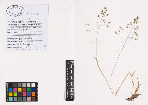 SW_BNB_s3040-00697_IMG-0000000001