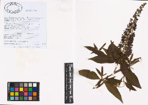 SW_BNB_s3040-00717_IMG-0000000001
