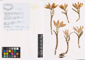 SW_BNB_s3040-00720_IMG-0000000001