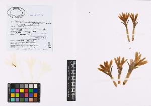 SW_BNB_s3040-00721_IMG-0000000001