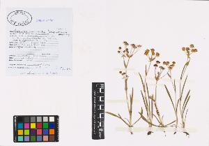 SW_BNB_s3040-00729_IMG-0000000001