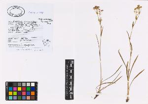 SW_BNB_s3040-00731_IMG-0000000001