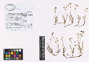 SW_BNB_s3040-00733_IMG-0000000001