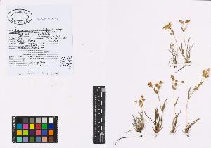 SW_BNB_s3040-00734_IMG-0000000001