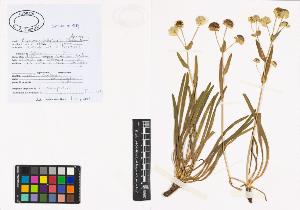 SW_BNB_s3040-00736_IMG-0000000001