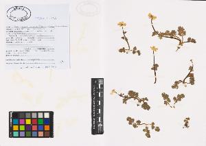 SW_BNB_s3040-00773_IMG-0000000001