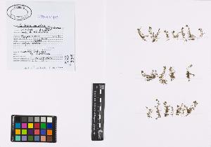 SW_BNB_s3040-00774_IMG-0000000001