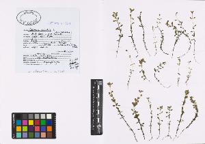 SW_BNB_s3040-00776_IMG-0000000001