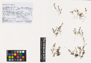 SW_BNB_s3040-00777_IMG-0000000001