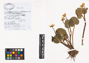 SW_BNB_s3040-00779_IMG-0000000001