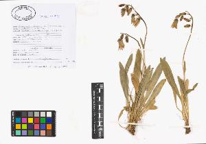 SW_BNB_s3040-00787_IMG-0000000001
