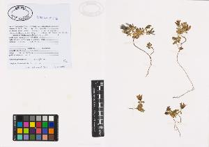 SW_BNB_s3040-00788_IMG-0000000001