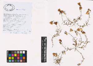 SW_BNB_s3040-00789_IMG-0000000001
