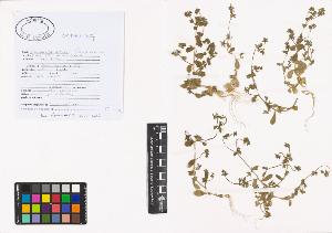 SW_BNB_s3040-00790_IMG-0000000001