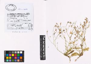 SW_BNB_s3040-00803_IMG-0000000001