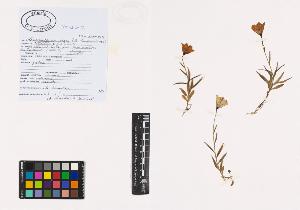 SW_BNB_s3040-00814_IMG-0000000001