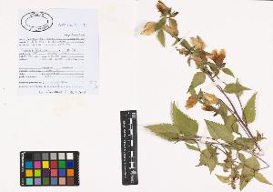 SW_BNB_s3040-00821_IMG-0000000001