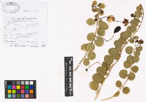 SW_BNB_s3040-00823_IMG-0000000001