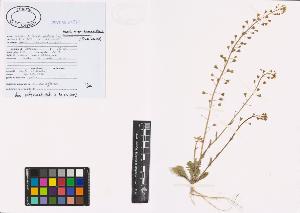 SW_BNB_s3040-00827_IMG-0000000001