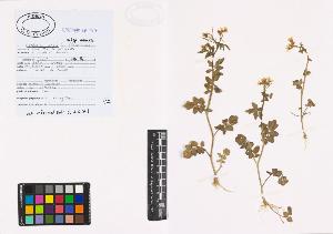 SW_BNB_s3040-00830_IMG-0000000001