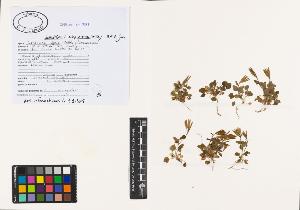 SW_BNB_s3040-00833_IMG-0000000001