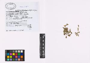 SW_BNB_s3040-00834_IMG-0000000001