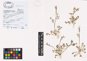 SW_BNB_s3040-00843_IMG-0000000001