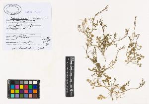 SW_BNB_s3040-00844_IMG-0000000001