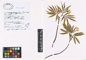 SW_BNB_s3040-00845_IMG-0000000001