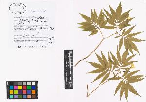 SW_BNB_s3040-00846_IMG-0000000001