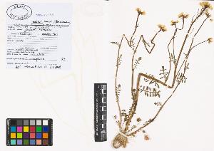 SW_BNB_s3040-00847_IMG-0000000001