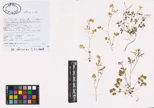 SW_BNB_s3040-00850_IMG-0000000001