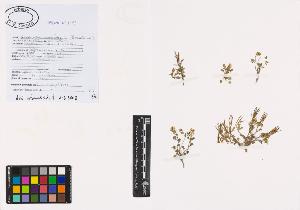 SW_BNB_s3040-00854_IMG-0000000001
