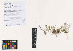 SW_BNB_s3040-00855_IMG-0000000001